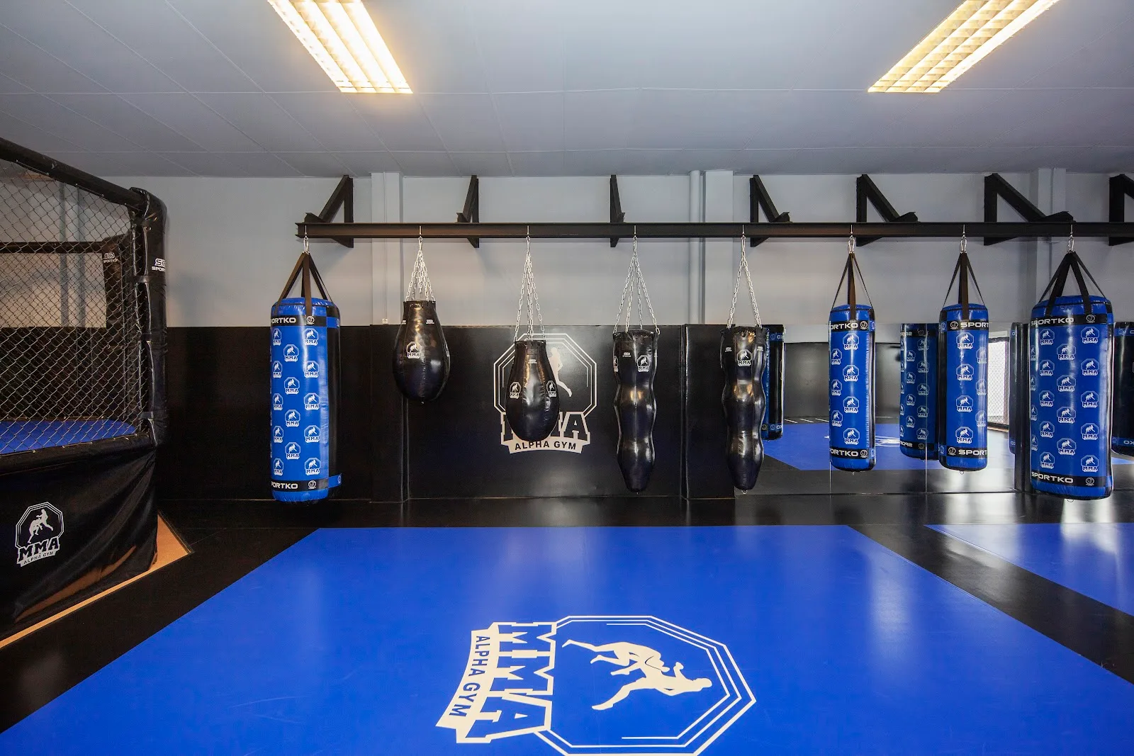Gimnasio Alpha Gym MMA en Barcelona