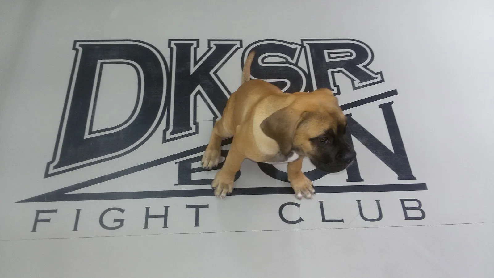 Gimnasio DKSR Gimnasio Barcelona en Barcelona